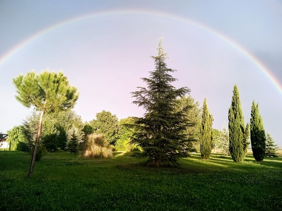 arcobaleno nel parco