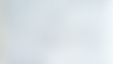 식물들을 사랑하는 마음 (2005)