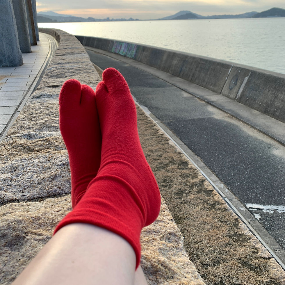 Miniature : tabi socks, japanese socks, split-toe socks, dense-pile socks, made in Japan socks, Red socks, Christmas socks