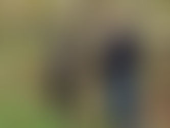 Origin of Urushi lacquer Origin of kintsugi