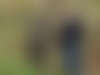 Origin of Urushi lacquer