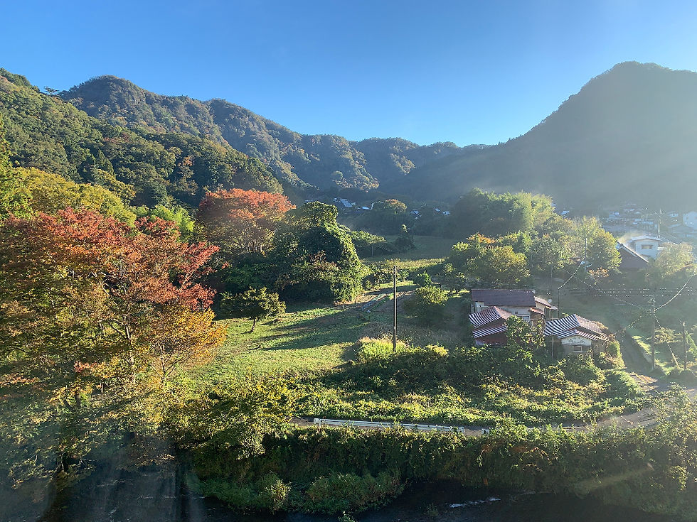 A tranquil village with houses and fields, surrounded by lush green mountains under a cloudy sky, conveys a peaceful, rural Japan travel experience.