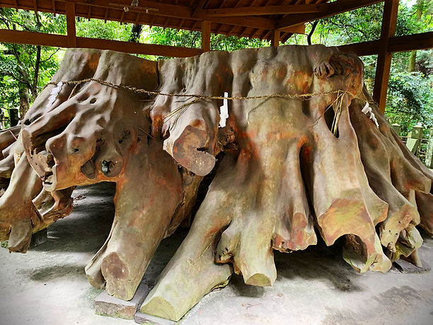 Aso-tree