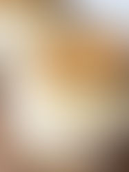 Custard Cream Cheesecake Pots