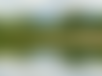 Beating the Heat at Broad Oak Trout Lakes