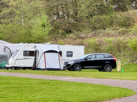 Our setup