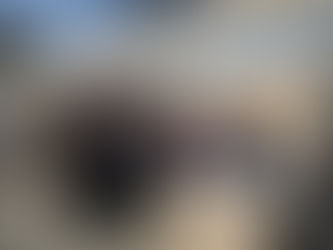 II FERIA CIENTÍFICA DE SANTOMERA