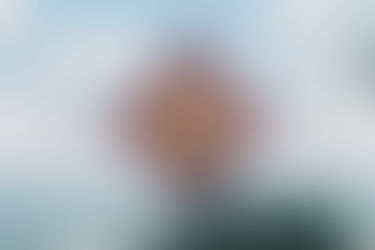 La Magia de Real de Catorce