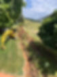 ditch.jpg