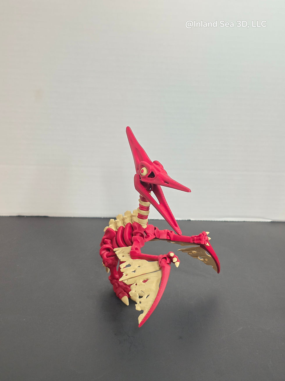 Thumbnail: Multicolor Skeleton Pteranodon