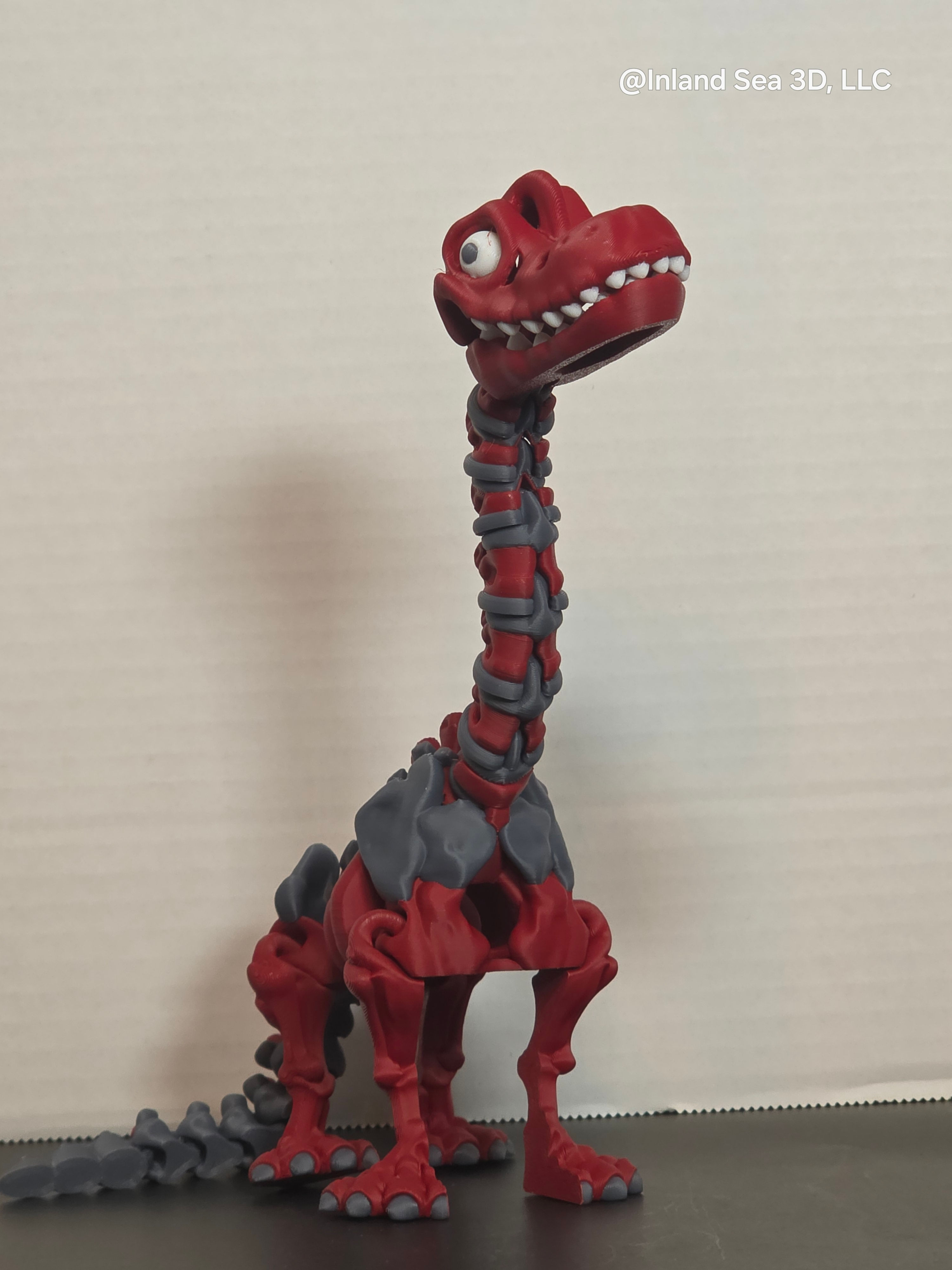 Multicolor Skeleton Brachiosaurus