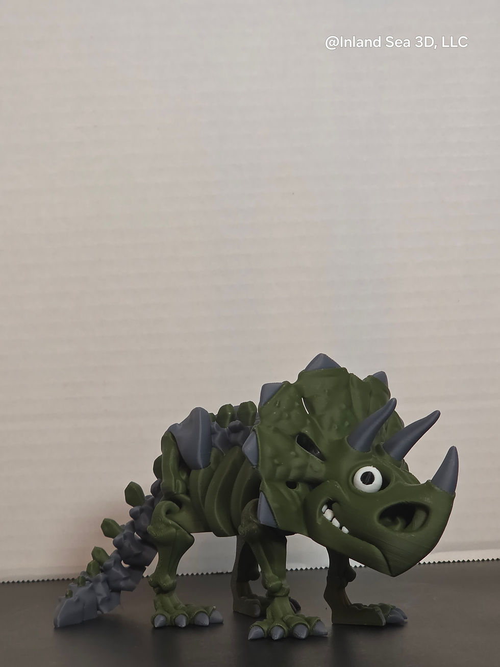 Thumbnail: Multicolor Skeleton Triceratops
