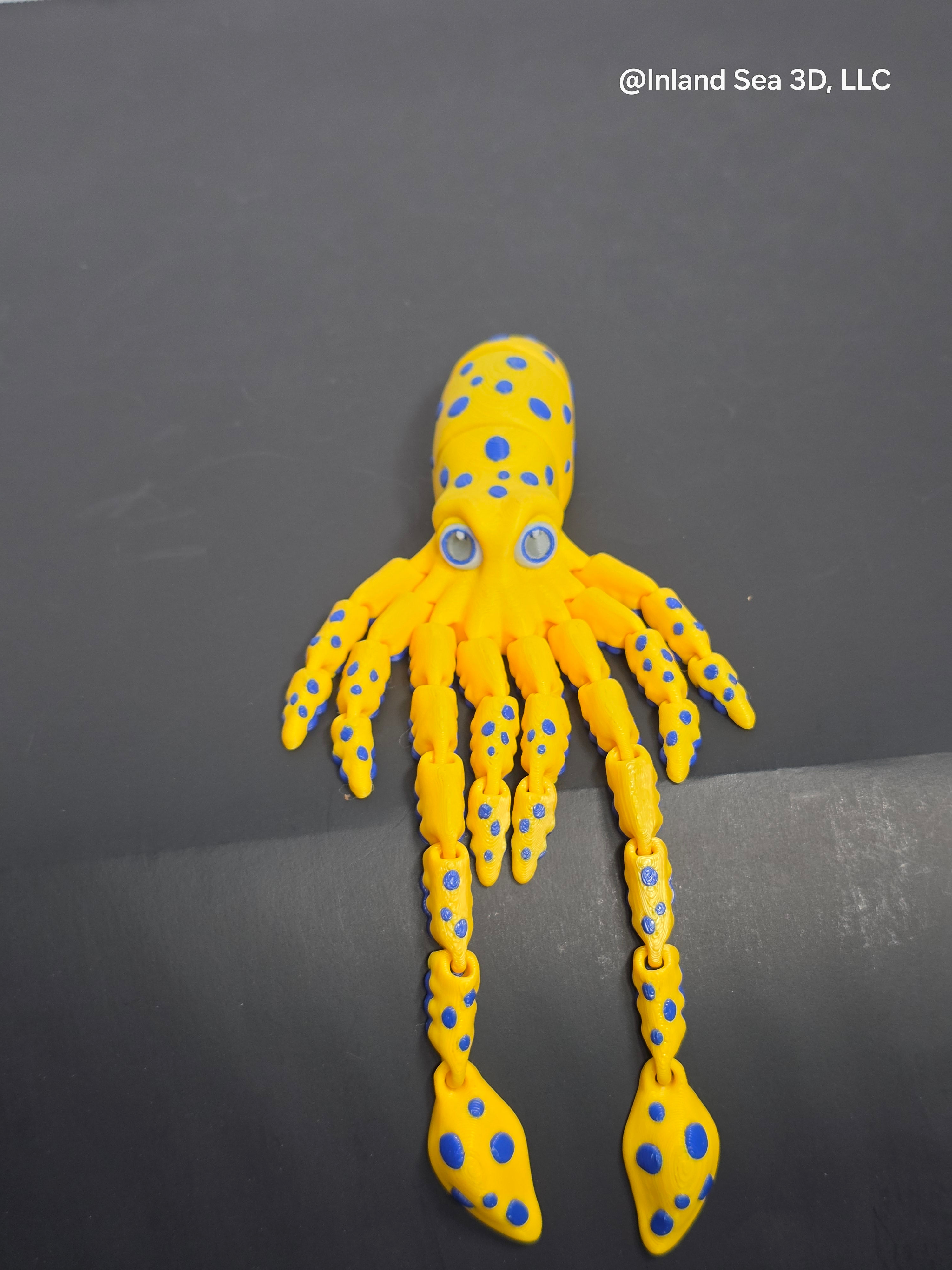 Articulated Squid