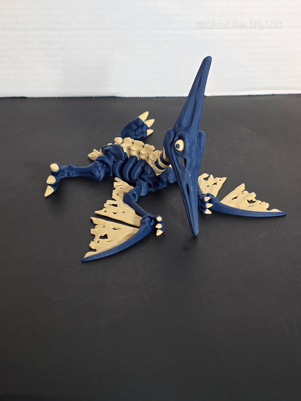 Thumbnail: Multicolor Skeleton Pteranodon