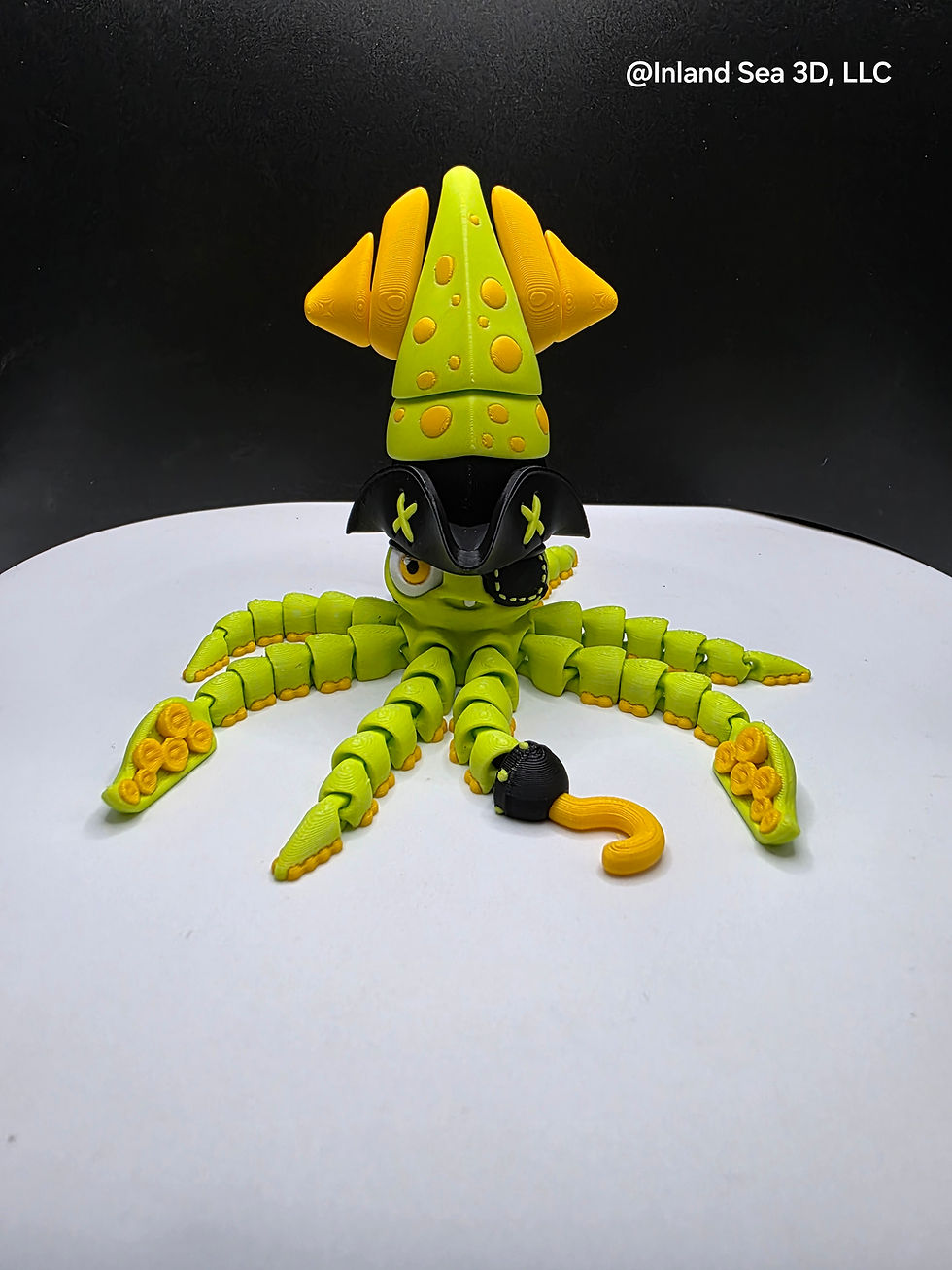 Thumbnail: Pirate Squid
