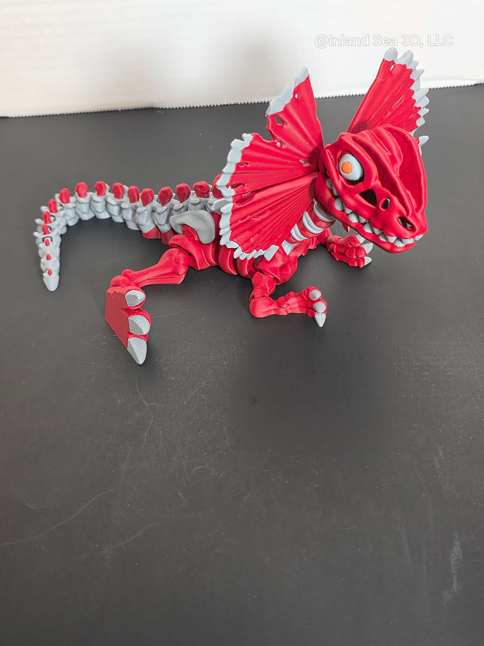 Thumbnail: Multicolor Dilophosaurus Skeleton