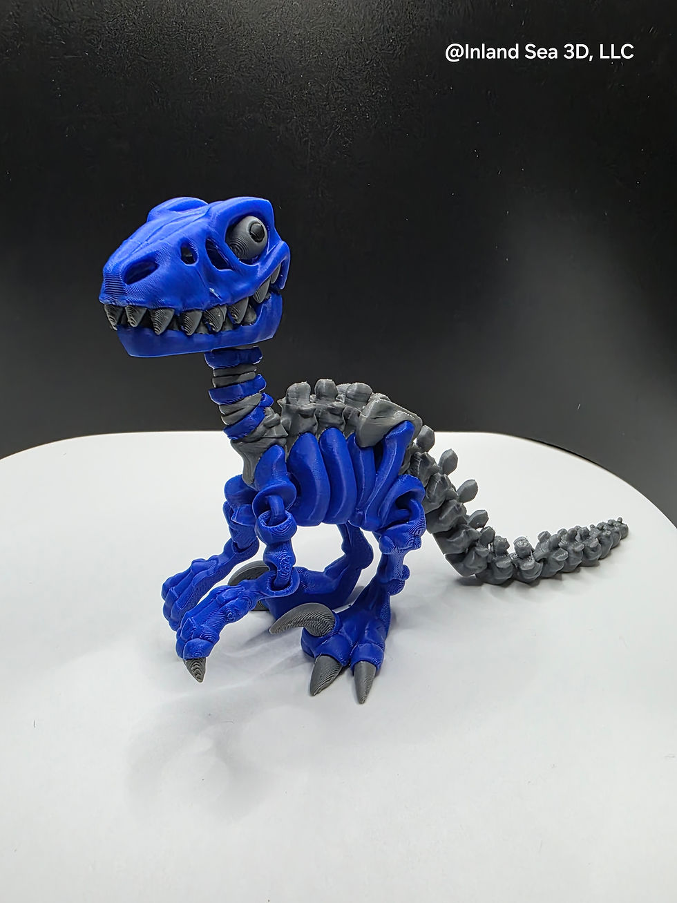 Thumbnail: Raptor Skeleton (2 colors)