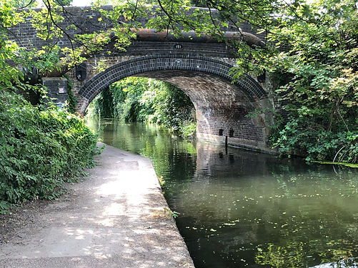 bridge.jpeg