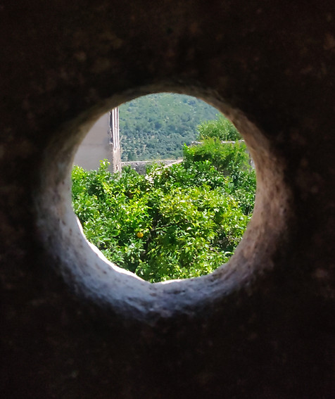 Bulle de Vivant..jpg