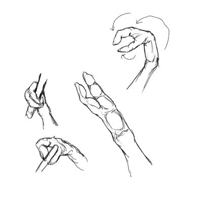 image2 (2).jpeg
