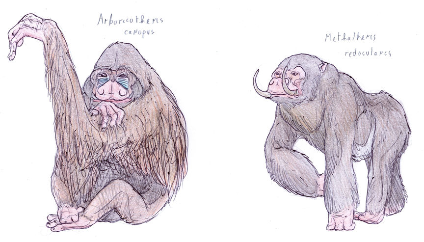numérisation0013.jpg