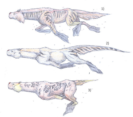 Aquavormélidae.jpg