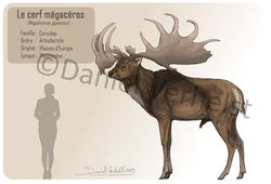 megaloceros