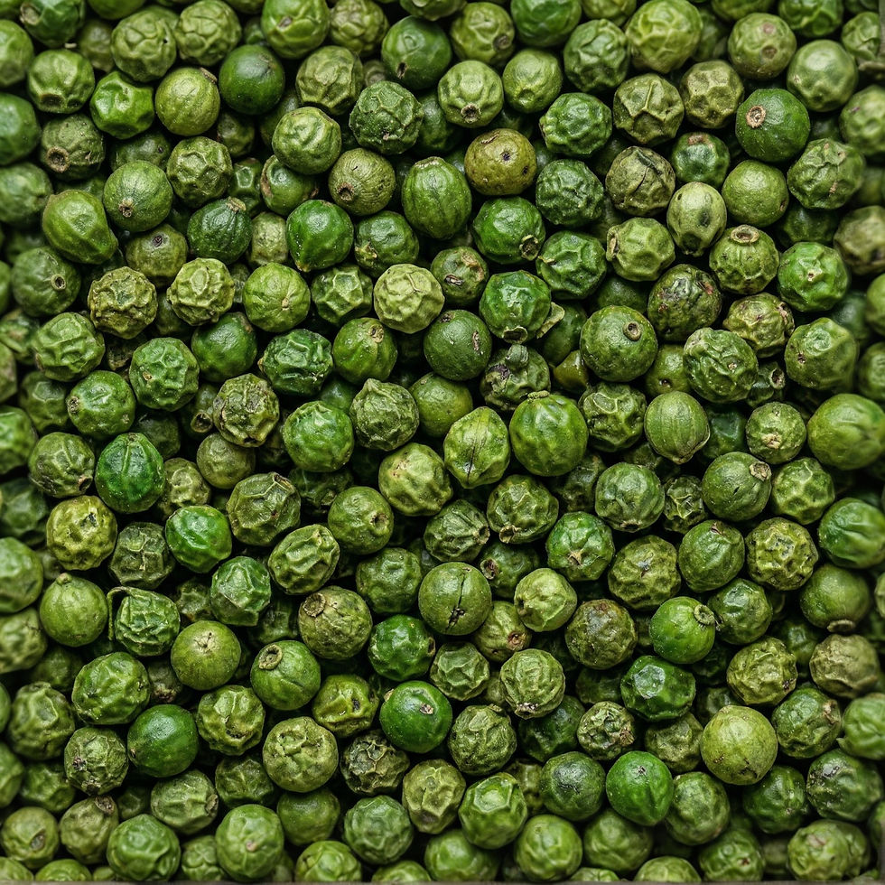 Green Pepper, a premium spice made with : Green pepper. Crafted by Mondepice.