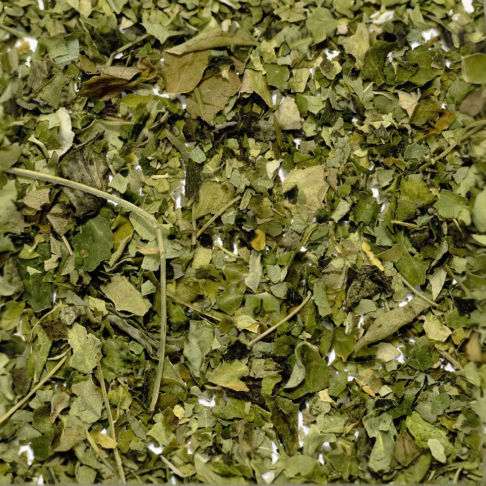 Moringa - Herbal, a premium herbal tea made with Moringa Leaves.. Crafted by Mondepice.