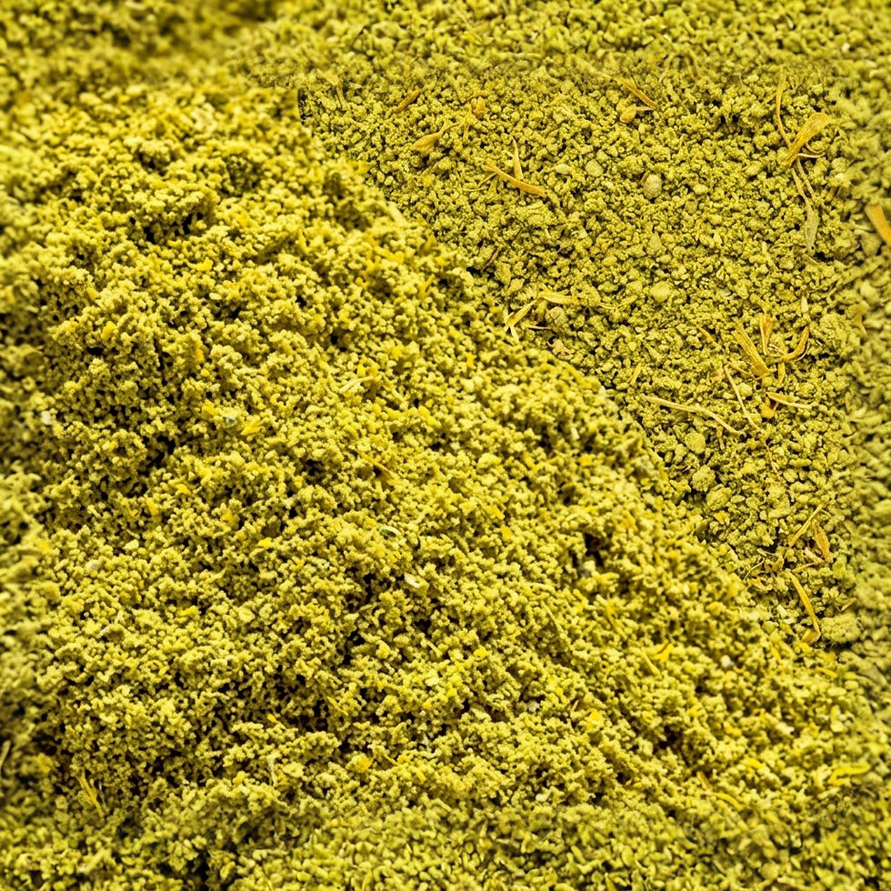 Green Curry- Spice, a premium spice made with : Lemongrass, moringa, dill weed, fennel seeds, ginger, garlic, turmeric, coria