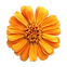 409869849_e69f75e1-1589-45a4-bdcf-84d75e6a94f9.png