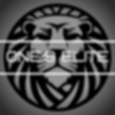 ONE_9 Elite (2).png