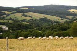 Bílé Karpaty