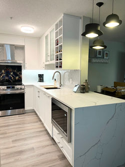 Kitchen Renovation