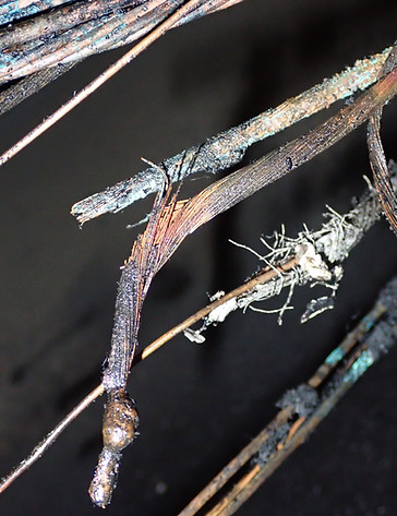 Fire-damaged electrical wiring with melted and charred insulation
