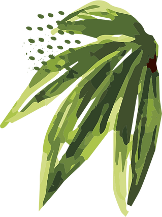 PLANTA_vetor.png