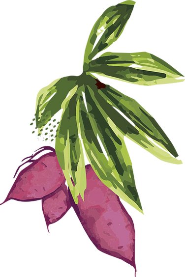 MIX_vetor.png