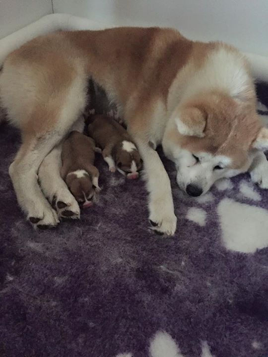 Motherhood