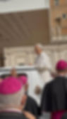 The group had the privilege of seeing the Pope greeting the people in Rome