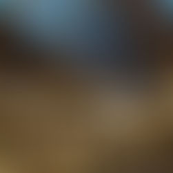 More Than Just a Bunch of Bones: The Contribution of Natural History Museums To Conservation