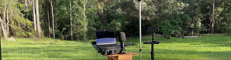 Rainforest Podcast banner.jpg