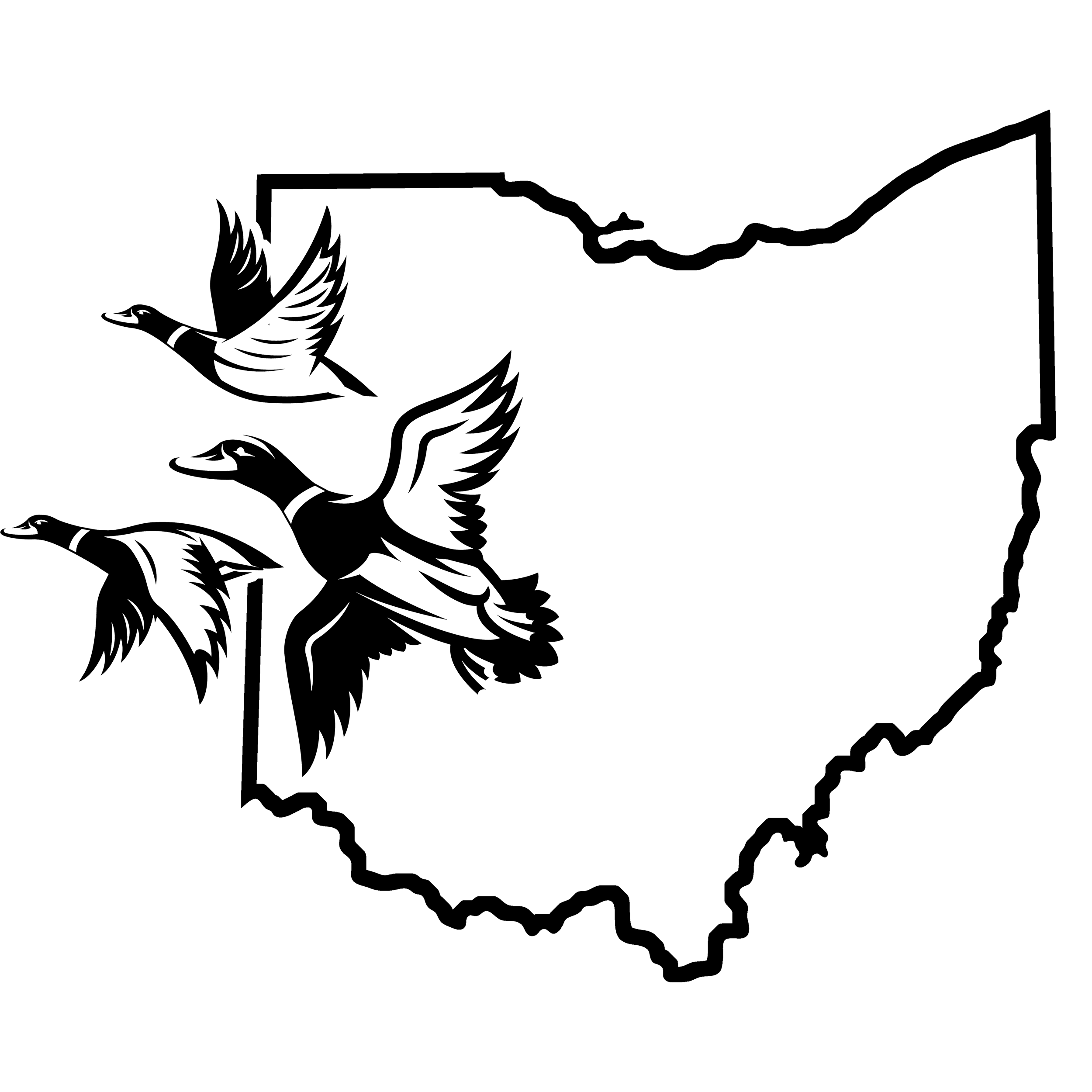 Ohio Waterfowl - Decal