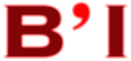 BI-1 copie_edited_edited_edited.png