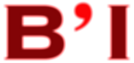 BI-1 copie_edited_edited_edited.png