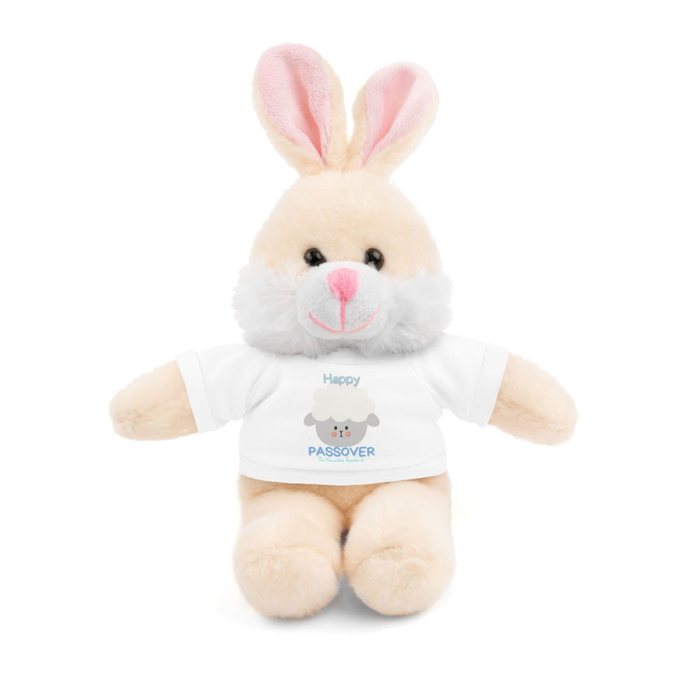 Thumbnail: TMRJ Passover Lamb - Stuffed Animals with Tee (Boy)