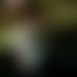 Gallery: BRAYTON supporting Max Diaz in Jacksonville, FL