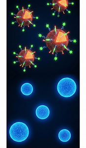 Gemini_Generated_Image_24yylu24yylu24yy (3).png