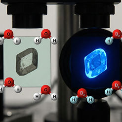 Gemini_Generated_Image_dolopndolopndolo (1)_edited.jpg