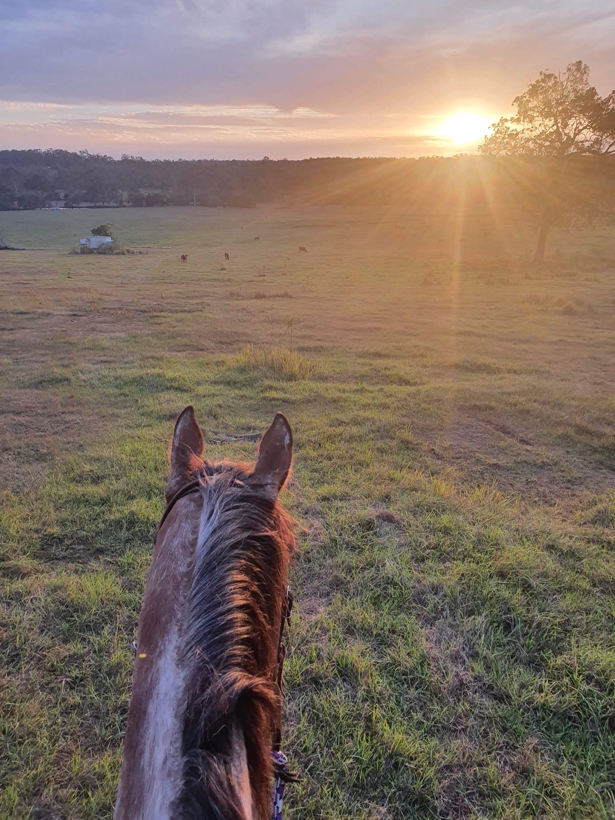 ACTIVITIES | Gootchie Creek