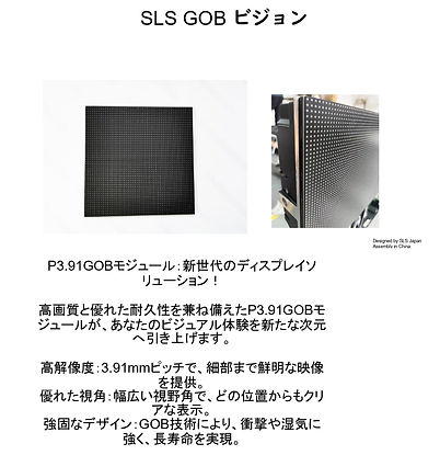 slsp391gobmodule_page-0001_edited.jpg